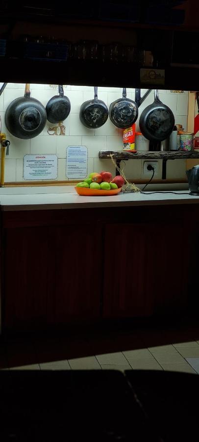 La Casa Del Arbol - Hostel El Bolsón 외부 사진