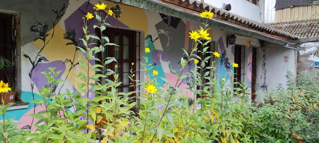 La Casa Del Arbol - Hostel El Bolsón 외부 사진
