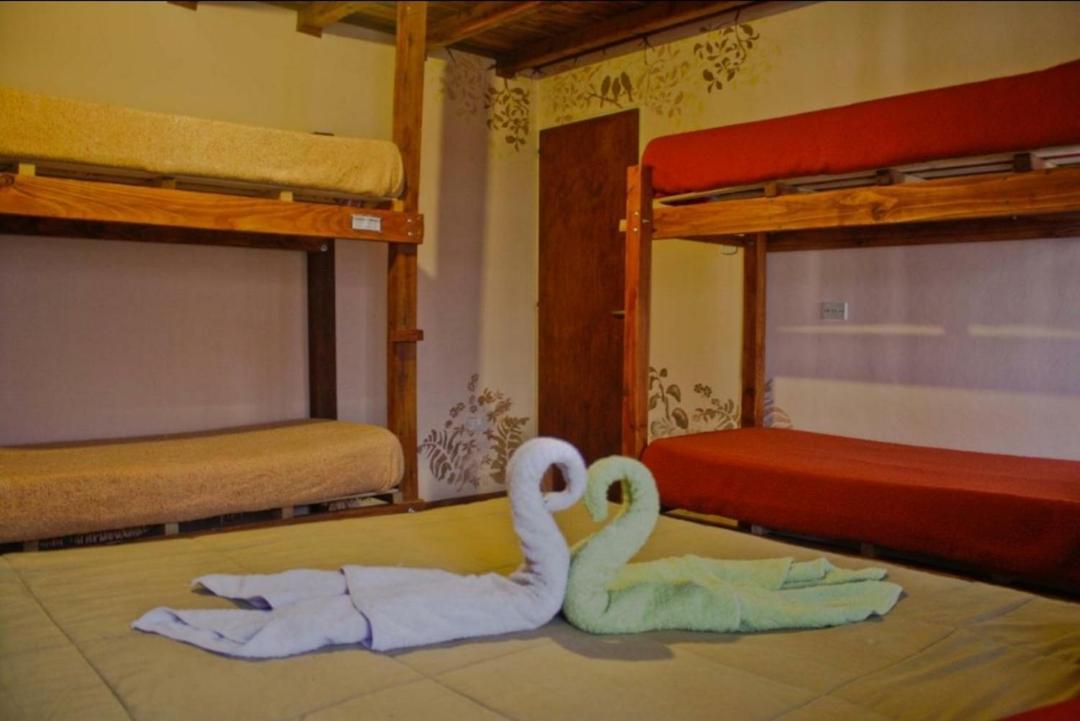 La Casa Del Arbol - Hostel El Bolsón 외부 사진