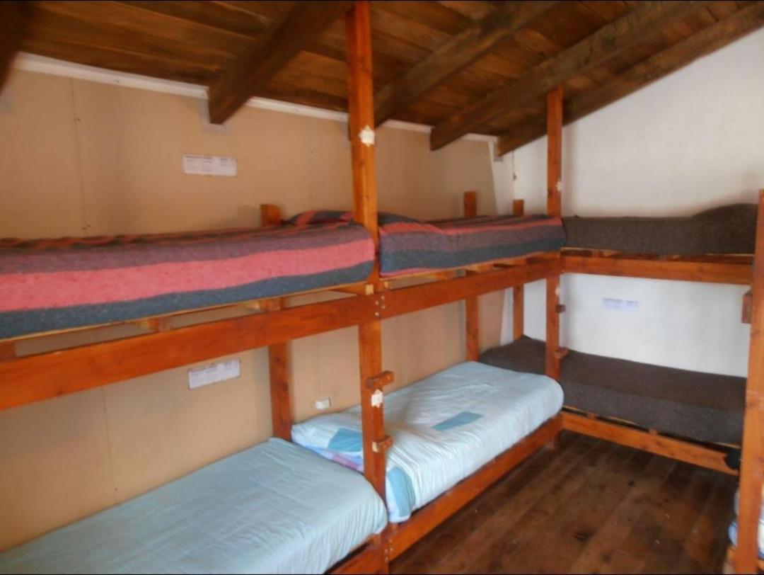 La Casa Del Arbol - Hostel El Bolsón 외부 사진